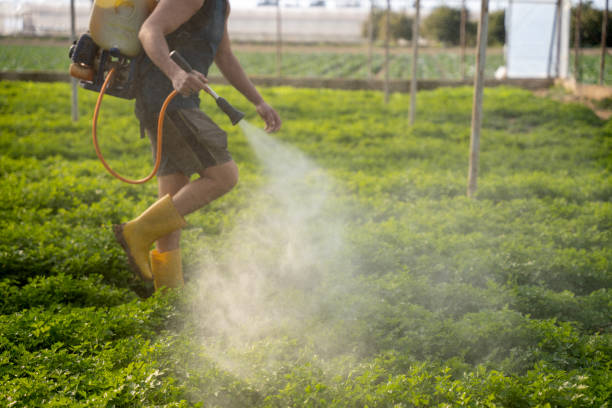 Best Ant Control Services  in Warsaw, KY