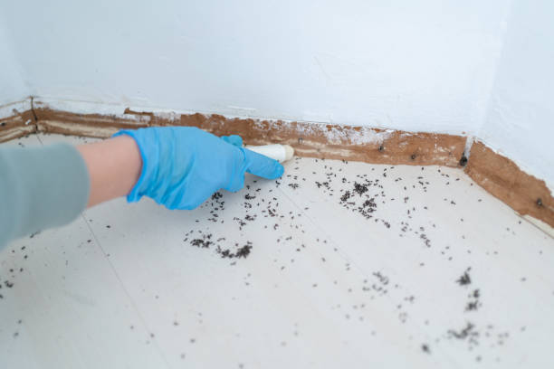 Trusted Warsaw, KY Pest Control Experts